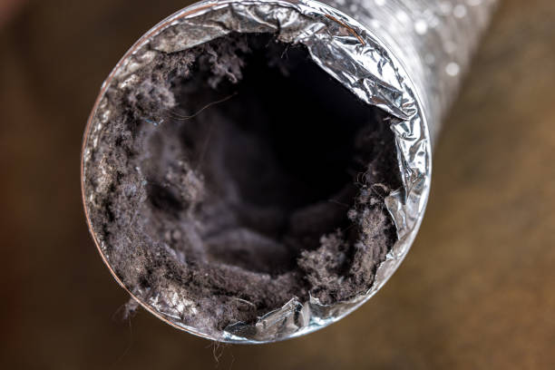 Best Air Duct Cleaning Company Near Me  in Nth Plains, OR