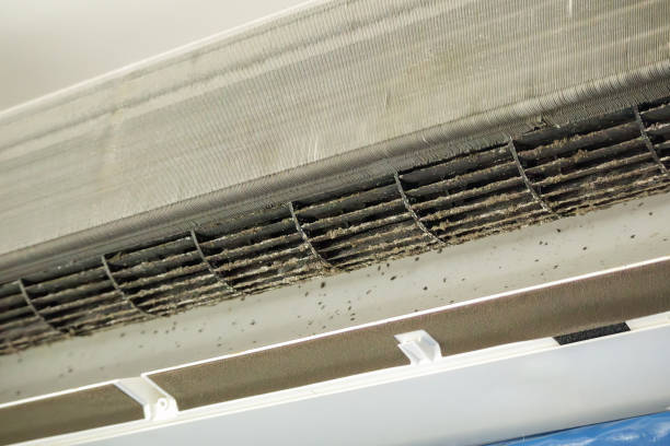 Best Air Duct Cleaning Near Me  in Nth Plains, OR